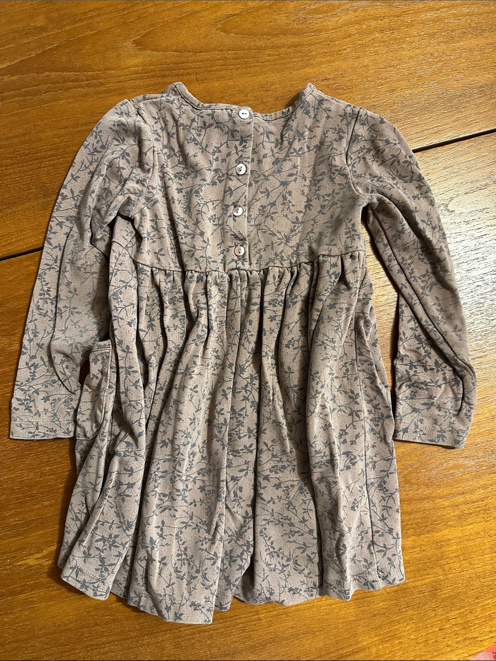 2 GAP Kids Dresses & 1 WHEAT kids dress size 4T - Picture 9 of 10
